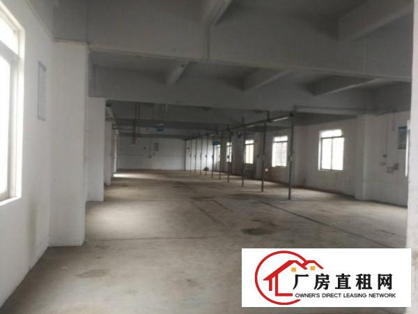  清溪新出重河原房东独门独院厂房3500平米实际面积出租