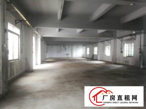  清溪新出重河原房东独门独院厂房3500平米实际面积出租