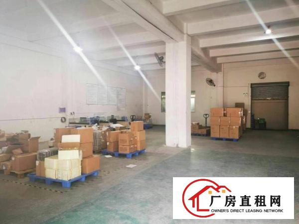  清溪镇标准厂房2层3700平方(分租)，带装修