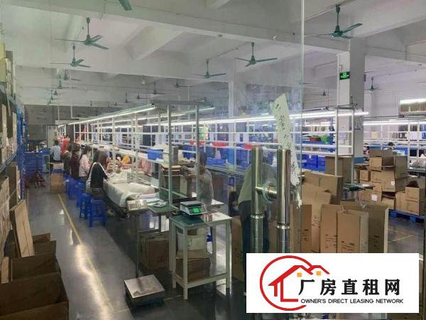  清溪镇标准厂房2层3700平方(分租)，带装修