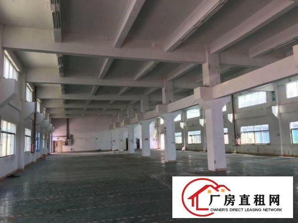  清溪一楼标准厂房1500平，16元出租
