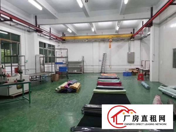  清溪三中原房东标准厂房一楼586平米带装修出租
