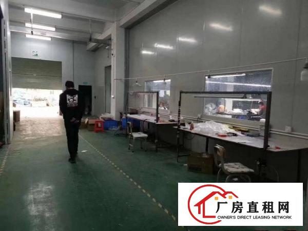  清溪三中原房东标准厂房一楼586平米带装修出租