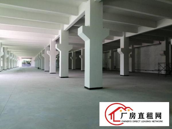  独栋厂房，7000平。单层3500平。2层。大小可分租。带院