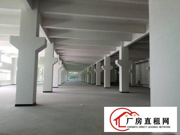  独栋厂房，7000平。单层3500平。2层。大小可分租。带院