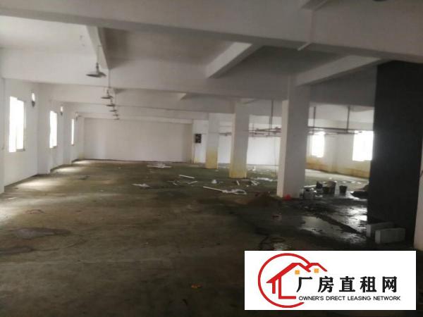  清溪镇中心附近新出楼上现成装修小面积350平厂房