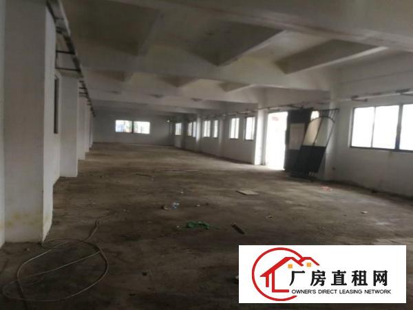  清溪镇中心附近新出楼上现成装修小面积350平厂房