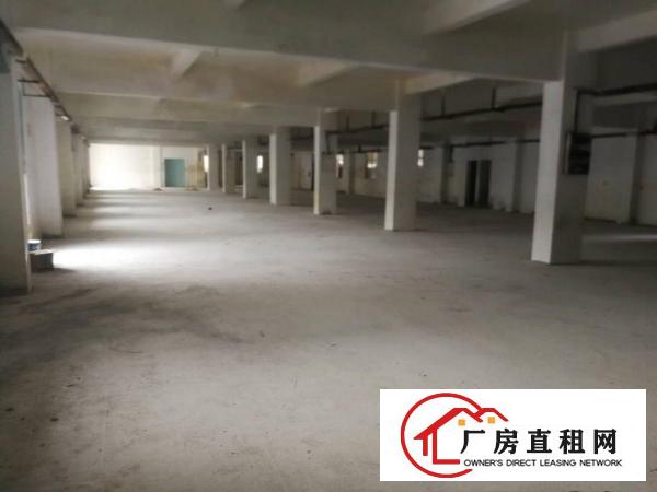 清溪镇中心附近新出楼上现成装修小面积350平厂房