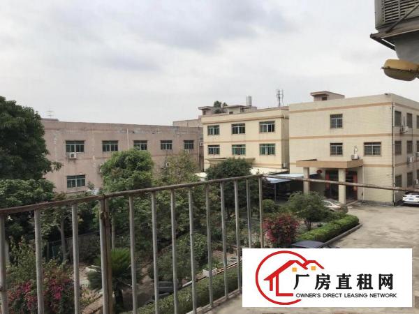  东莞清溪三星村二楼办公室现成装修厂房