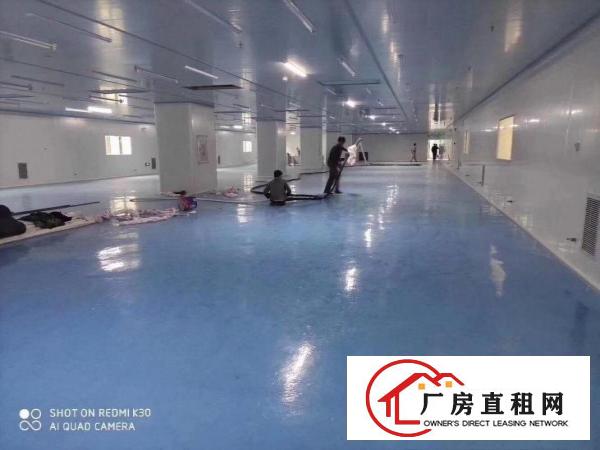  （无尘车间，无转让费）清溪三中新出楼上一整层2700平厂房