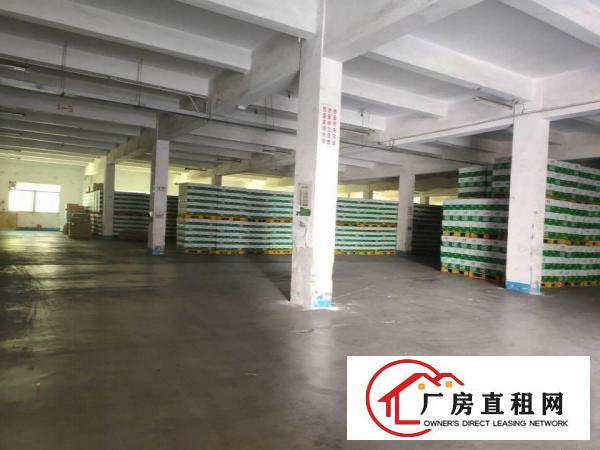  清溪土桥村新出一楼2300平米原房东厂房出租可分租