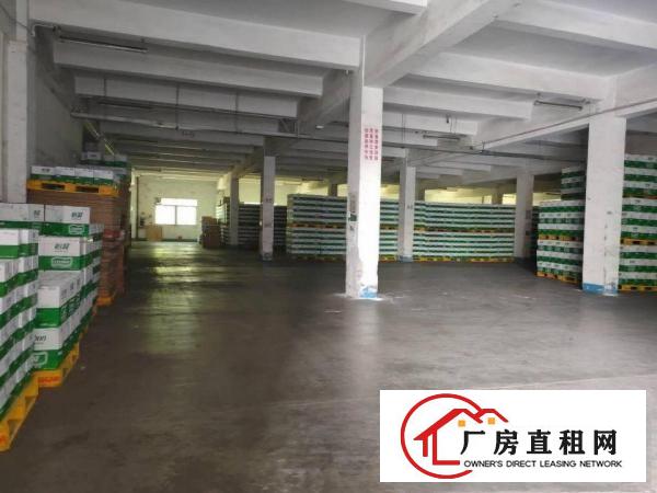  清溪土桥村新出一楼2300平米原房东厂房出租可分租