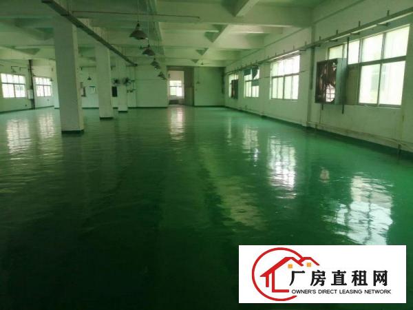  全新地坪漆厂房，只要12.8元