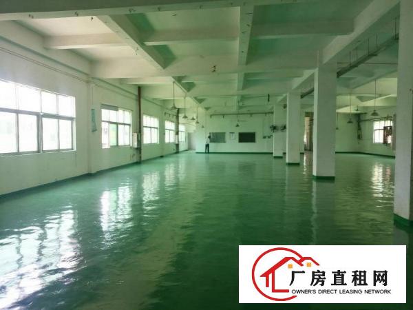  全新地坪漆厂房，只要12.8元