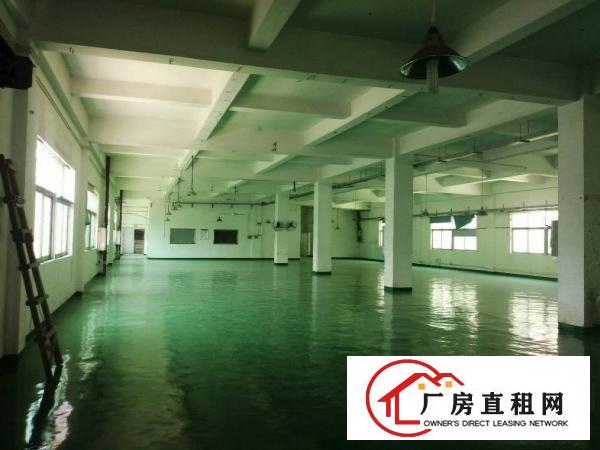  全新地坪漆厂房，只要12.8元