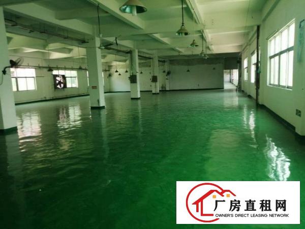  全新地坪漆厂房，只要12.8元