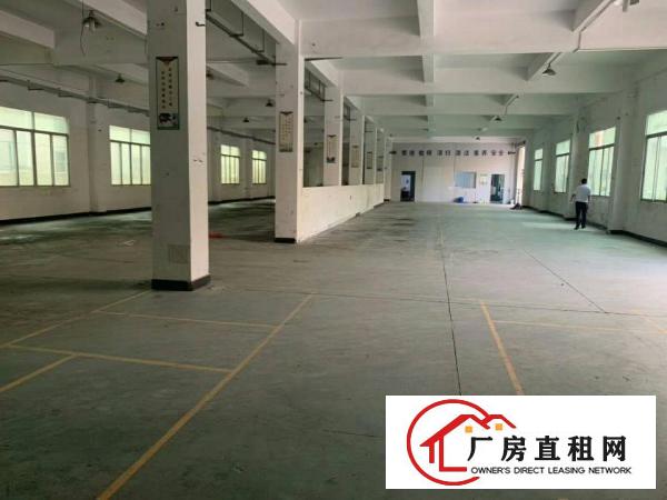  清溪镇原房东标准厂房一楼1300平方，实际面积出租。