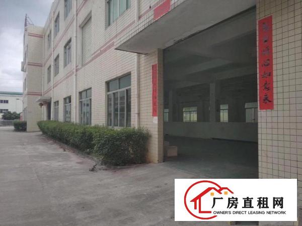  清溪三中空地超大标准一楼厂房实际面积出租