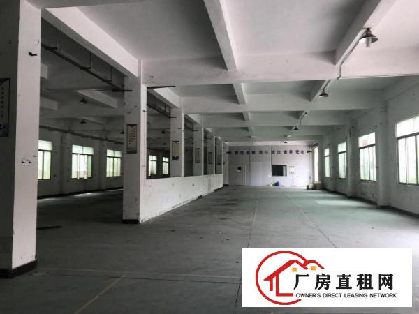  清溪三中空地超大标准一楼厂房实际面积出租