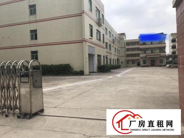  清溪三中空地超大标准一楼厂房实际面积出租