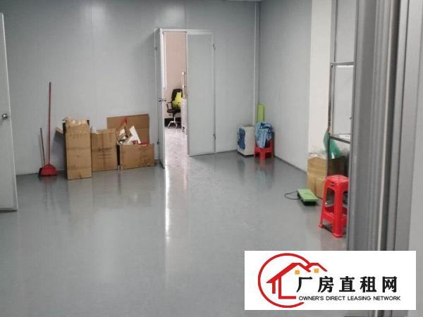  口罩客户福利！土桥新出标准厂房500平米带装修出租