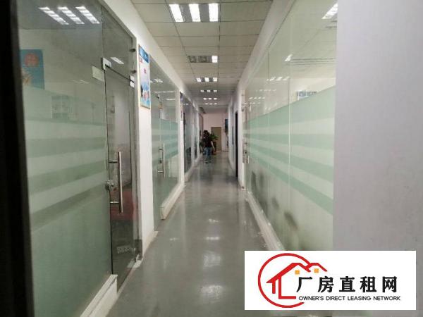  口罩客户福利！土桥新出标准厂房500平米带装修出租