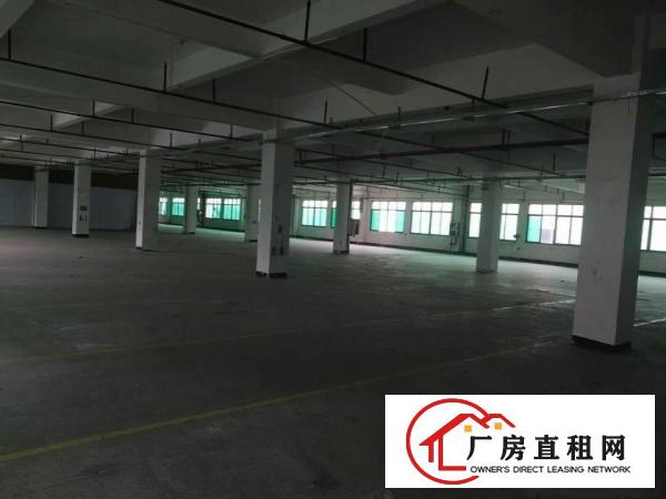  清溪独栋厂房出租一楼二楼各3500平出租可分租