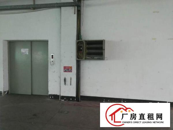  清溪独栋厂房出租一楼二楼各3500平出租可分租