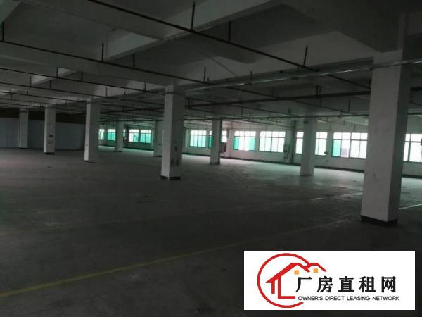 清溪独栋厂房出租一楼二楼各3500平出租可分租