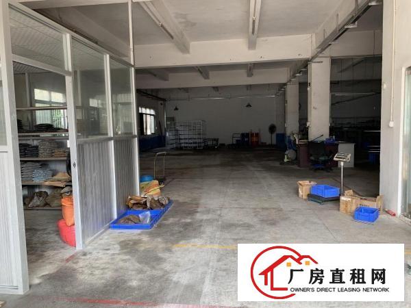  清溪大利新出独院厂房一楼650平米出租高5米，现成办公