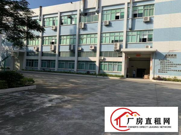  清溪大利村新出2楼620平厂房出租现成装修水电