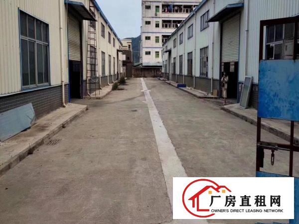  清溪镇三中原房东独院钢构厂房1650平方，现成办公室水电急租