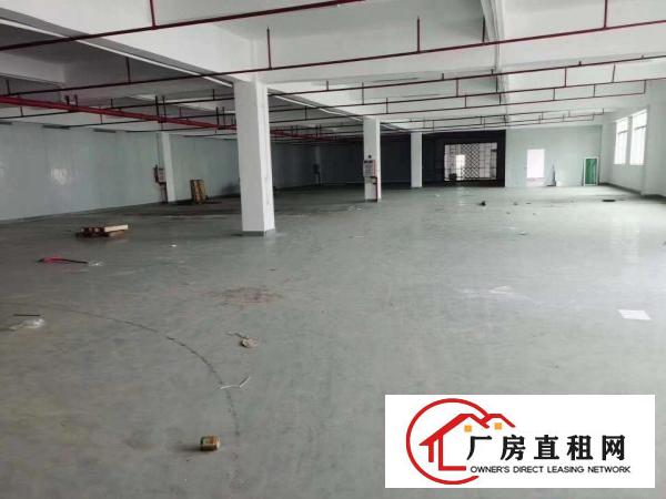 双证齐全空地大清溪铁松标准独院厂房出租7200平可分租