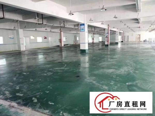  双证齐全空地大清溪铁松标准独院厂房出租7200平可分租