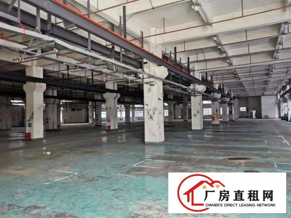  标准一楼7米高，带牛角，行成行车，水电齐全
