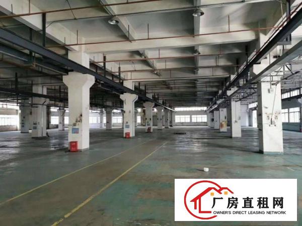  标准一楼7米高，带牛角，行成行车，水电齐全