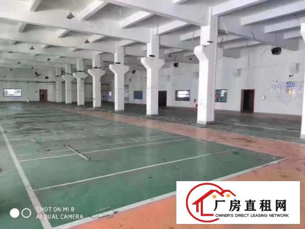  清溪车站新出原房东一楼1000平方带装修急租