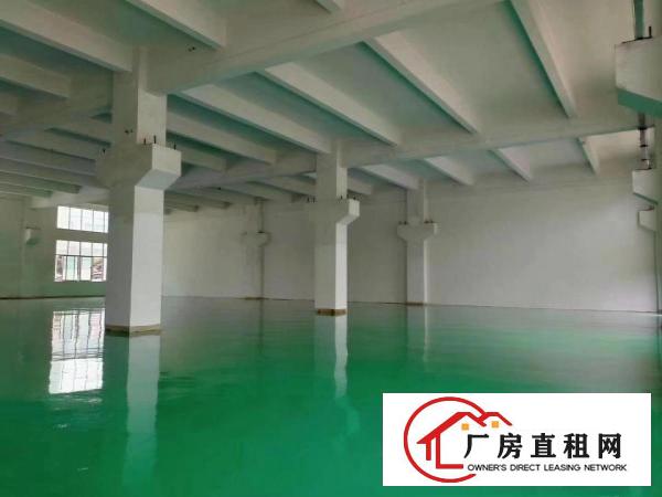  清溪三中新出一楼厂房1100平出租带牛角水电