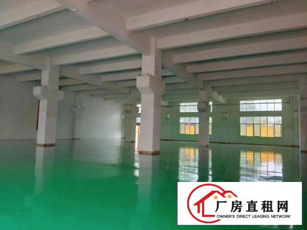  清溪三中新出一楼厂房1100平出租带牛角水电