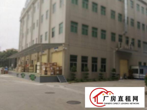  清溪镇渔梁围管理区新出标准一楼滴水七米1600平厂房出租