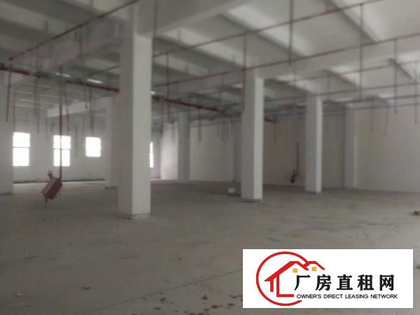  清溪镇渔梁围管理区新出标准一楼滴水七米1600平厂房出租
