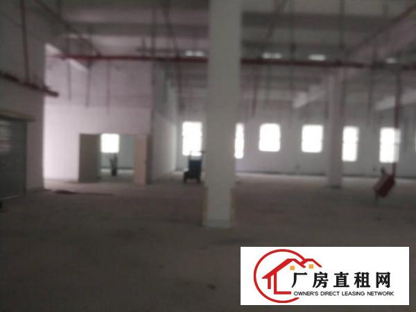  清溪镇渔梁围管理区新出标准一楼滴水七米1600平厂房出租