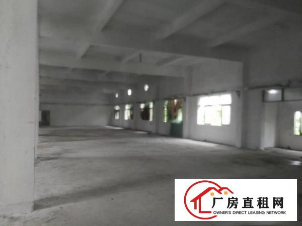  清溪镇浮岗工业区新出单一层独门独院6000平米厂房出租