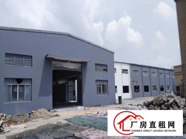  清溪打包价5万左右单一层厂房
