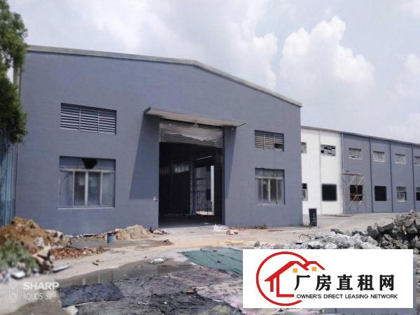  清溪打包价5万左右单一层厂房