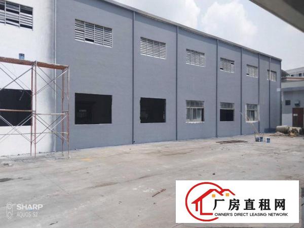  清溪打包价5万左右单一层厂房