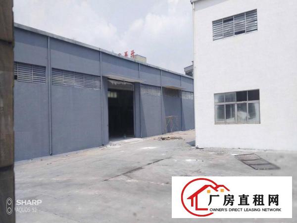  清溪打包价5万左右单一层厂房