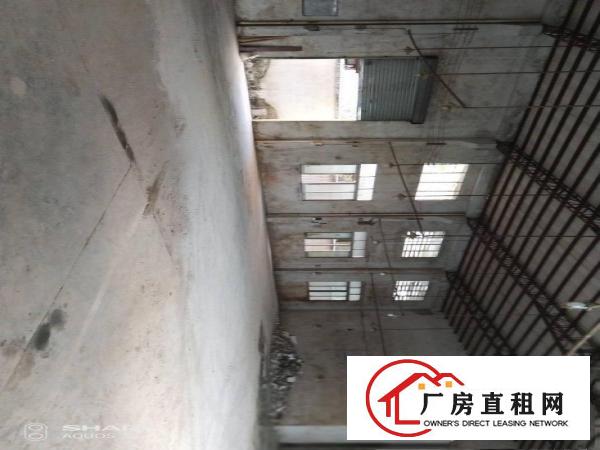  清溪打包价5万左右单一层厂房
