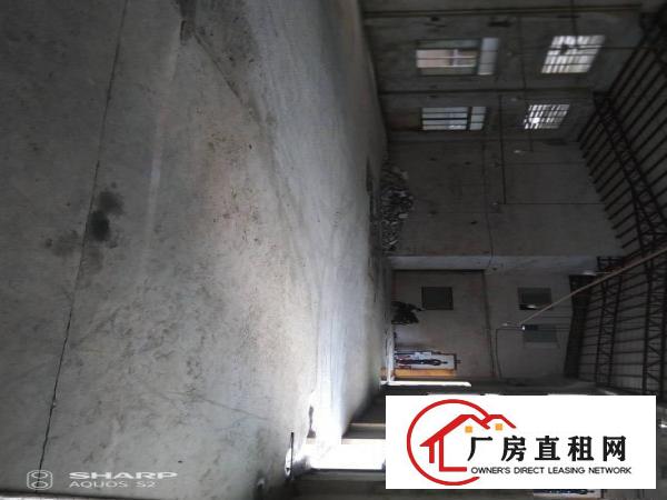  清溪打包价5万左右单一层厂房