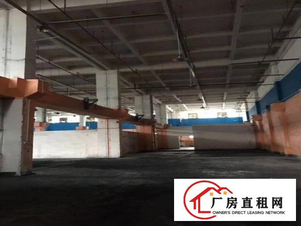  清溪大型工业园标准单一层2600平，高12米，带牛角现成水电
